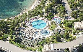 The Grand Blue Sky International